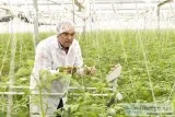 Agriculture workers recruitment services