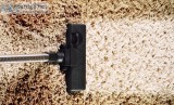 Looking for Carpet Mould Removal in Perth