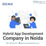 Best hybrid app development in noida