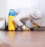Best Pest Control Services in Delhi NCR- Apest Management
