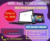 Website Development in Noida