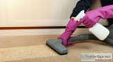 Finest Carpet Pet Removal in Melbourne