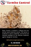 Best Termite Treatment Services in Jaipur