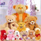 Order Teddy Combos Online  BookandBuy Teddy Combos Online in Ind