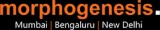 Best master planning in Delhi Bangalore and Mumbai by Morphogene