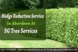 Garden and Tree Maintenance Services In Aberdeen