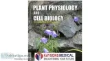 NEET plant physiology analysis