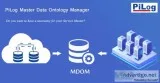 Master data dictionary