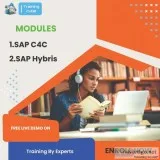 Sap apo demand planning