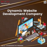 Dynamic Web Development Company in Bangalore