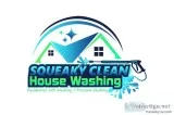 Residential Soft Washing  Pressure Washing