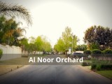 Al noor orchard
