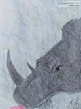 In the Midsts of a Rhino