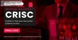 Best CRISC Certification Training