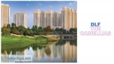 Get dlf camellias floor plan, interior, flat price, brochur