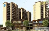 land Affordable Sector 81