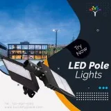 Get Energy-efficient  LED Pole Lights at low price