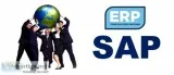 SAP Training Institute in Delhi