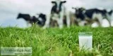 Fresh cow milk in chennai