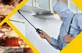 Pest control south Delhi