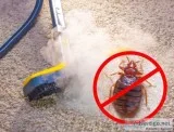 Pest control East Delhi