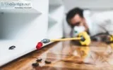 Contact Us  Best Cockroach Control Services in Bradenton.