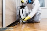 Our Specialist qualified Pest Control Services in Lakewood ranch