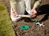 Our expert  Termite Control Services in Lakewood ranch.