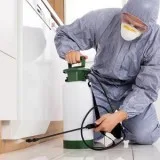 Highly Skilled Termite Control Expert in Florida.