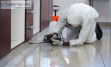 Call our expert pest control services near you in Bradenton.