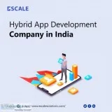 Establish your business with the best hybrid app development com