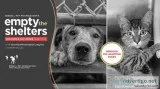 Pet Adoption Event
