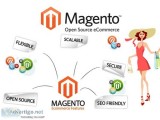 Get magento development services in the india & usa