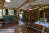 Tree house resort - The machan