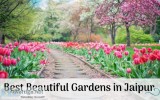 Best beautiful gardens in jaipur