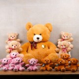 Buy send soft toys for girlfriend from myflowertree