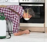 Pest control company in Brampton