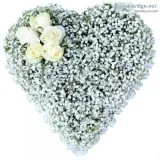Gypsophila Heart