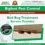 Bed Bug Treatment Elk grove village