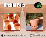 Now Orchid Pots available online at best price -