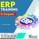 Best Online ERP Training In Gurgaon  ERP Training Institute In G