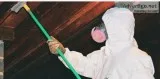 Mold Removal Lafayette La