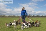 Dog Sitting Services OKC USA.