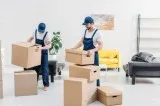 European Removal Services