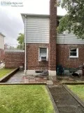 Whole House for Rent with Basement Yard and Driveway