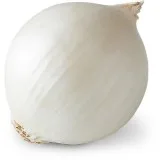 Iranian onion exporter
