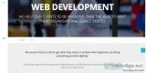 Website development