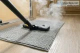 Professional Carpet Mould Removal Hobart