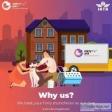 Carry my pet- relocate pet internationally and domestically