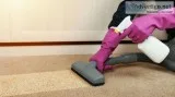 Professional Pet Stain Removal Sydney